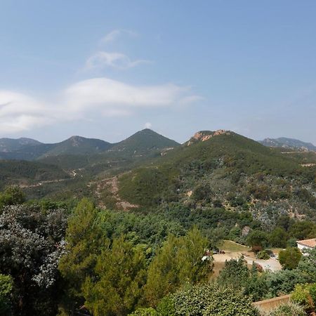 Vue Mer Et Esterel Sur La Baie De Cannes 테울쉬르메르 외부 사진